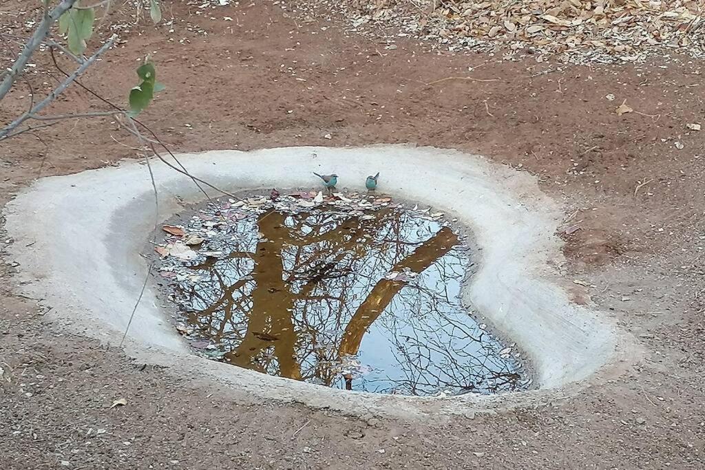 Vila Amukela Kaya Hoedspruit Exteriér fotografie