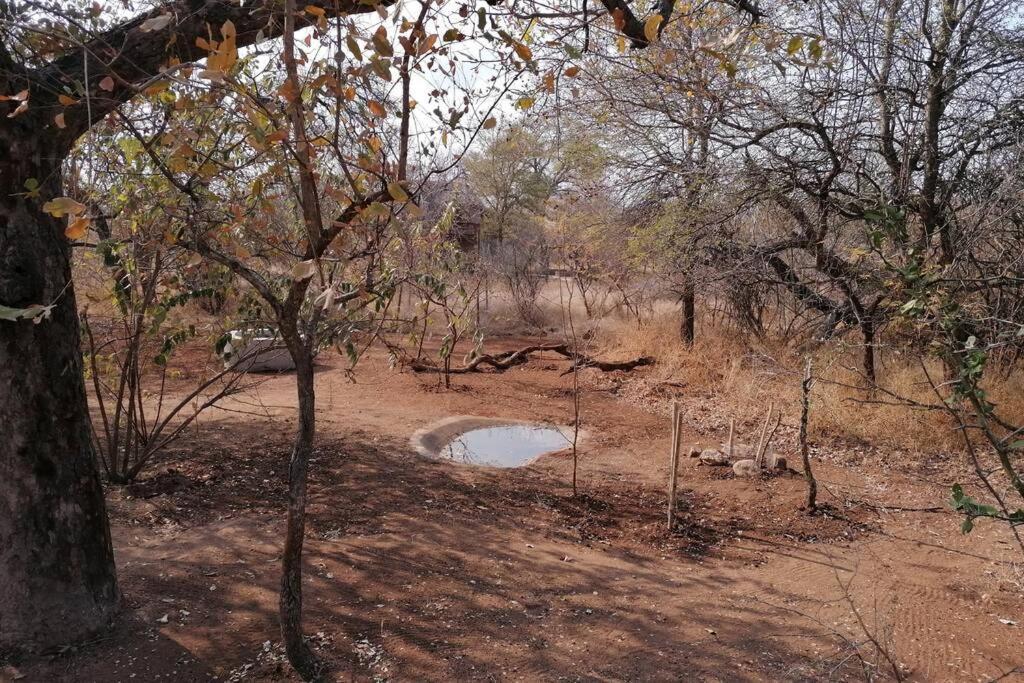 Vila Amukela Kaya Hoedspruit Exteriér fotografie