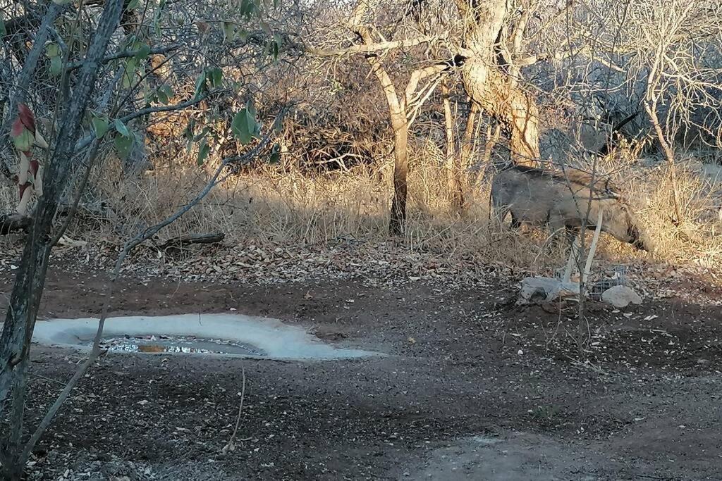 Vila Amukela Kaya Hoedspruit Exteriér fotografie