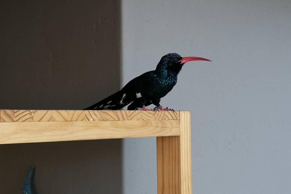 Vila Amukela Kaya Hoedspruit Exteriér fotografie